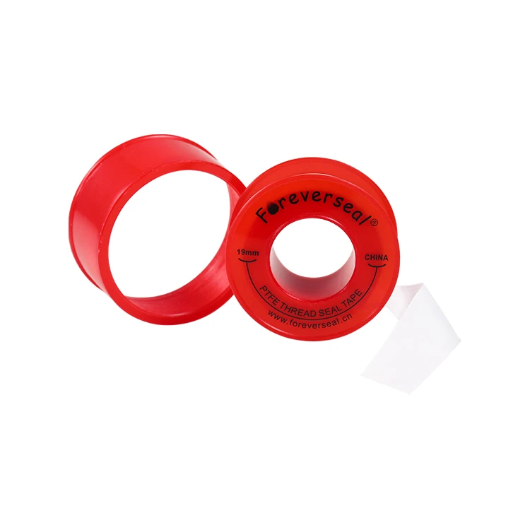 CS5A6236.jpg
